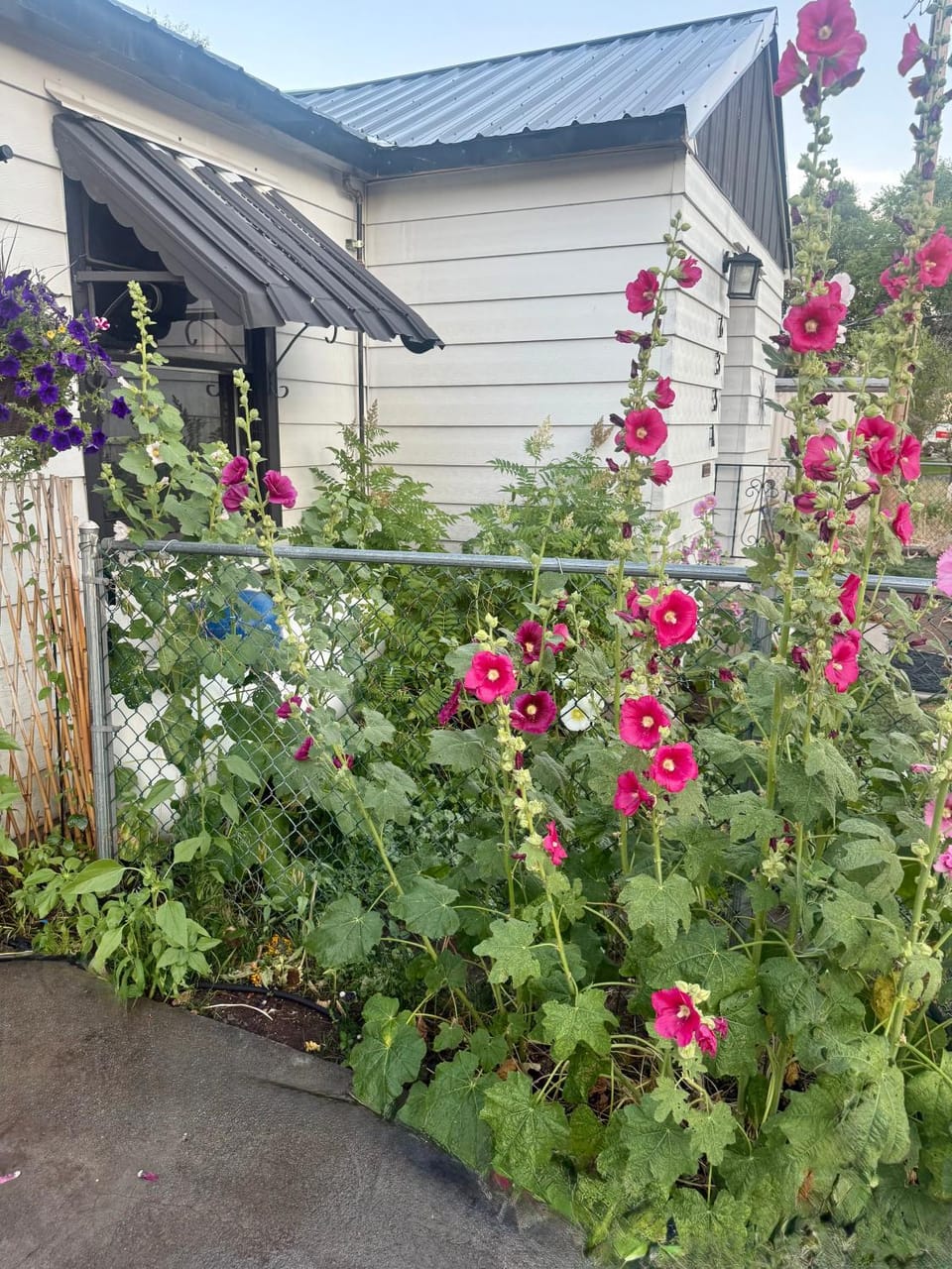 Property building, Spring, Day, Garden, Other, Street view, pet friendly
