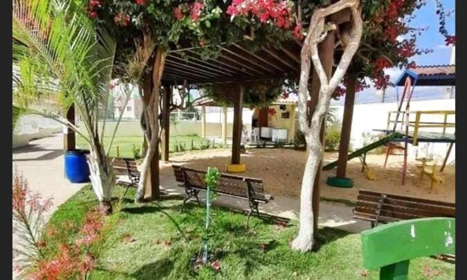 Children play ground