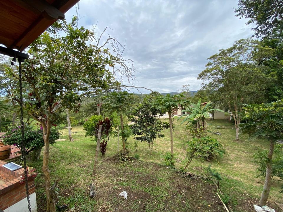 Natural landscape, Garden, Garden, Garden view