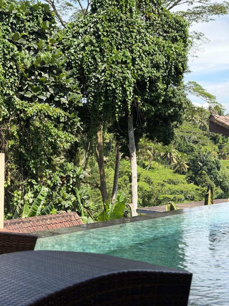 Widi's House with Ubud Jungle Lush View Apartment in Ubud