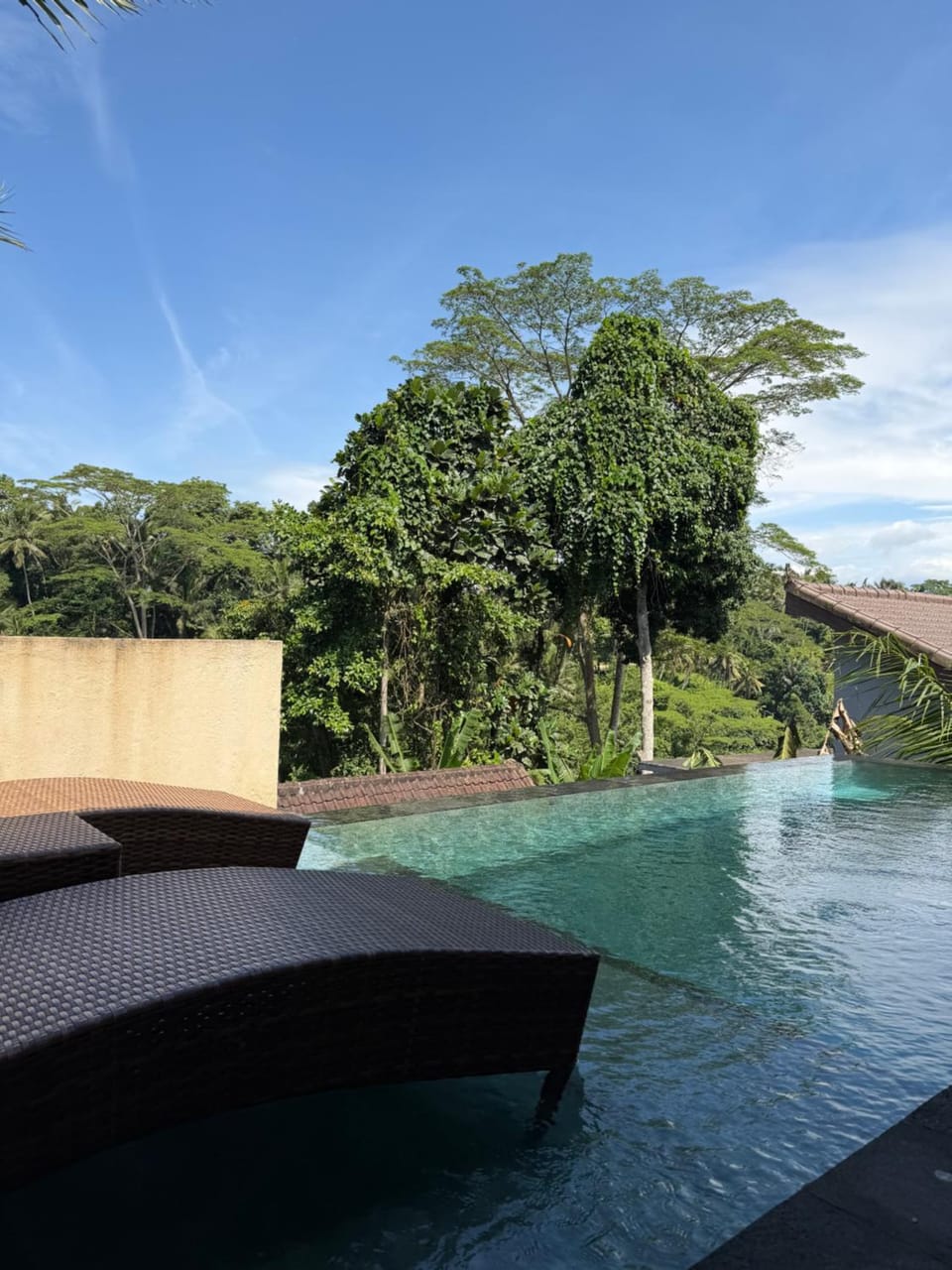 Widi's House with Ubud Jungle Lush View Apartment in Ubud