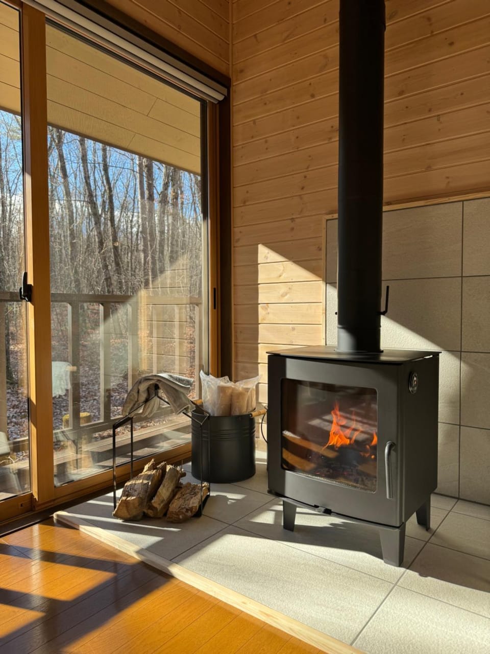 Day, Winter, Living room