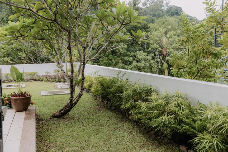 Day, Natural landscape, Garden, Garden view