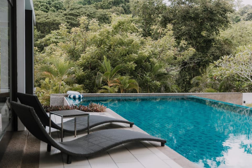 Day, Natural landscape, Garden view, Pool view, Swimming pool, sunbed