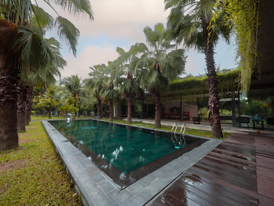 Day, Natural landscape, Garden, Pool view, Swimming pool, sunbed