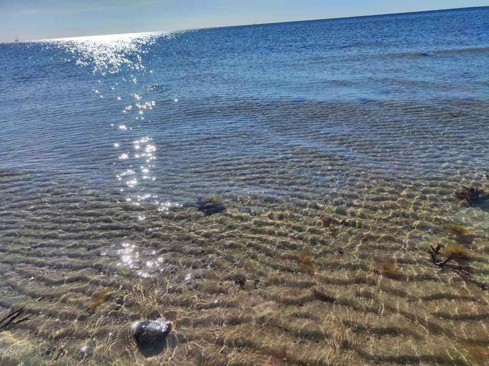 Ferienhaus kleiner Leuchtturm - Steuerbord Fehmarn Kopendorf - mit Garten und Terrasse House in Ostholstein