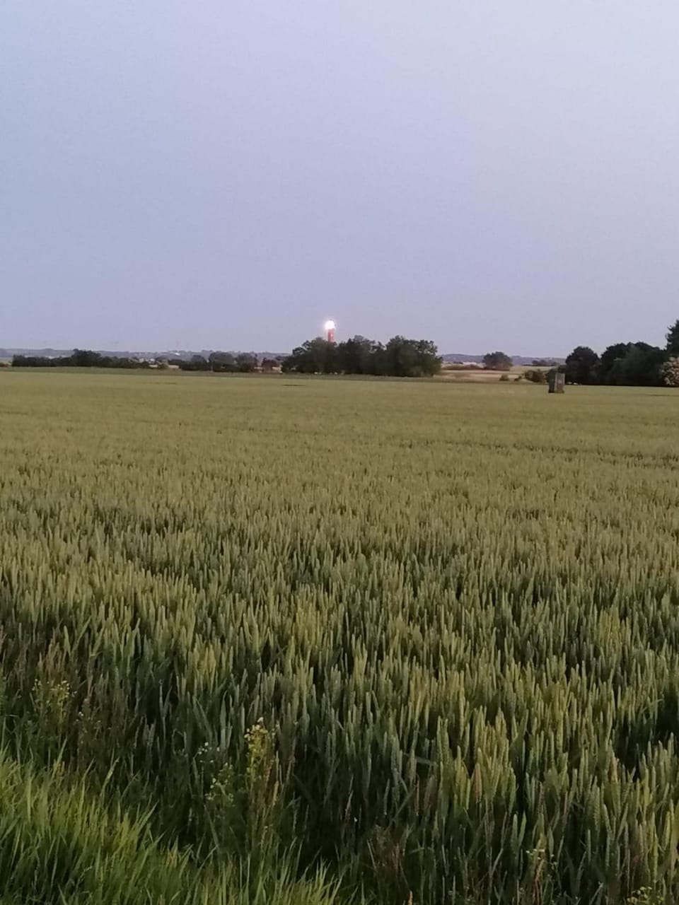 Ferienhaus kleiner Leuchtturm - Steuerbord Fehmarn Kopendorf - mit Garten und Terrasse House in Ostholstein