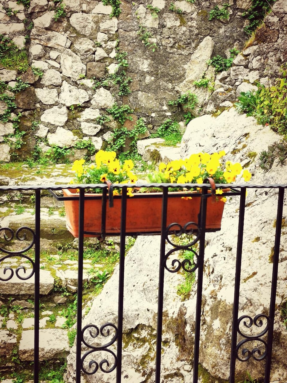 Spring, Balcony/Terrace
