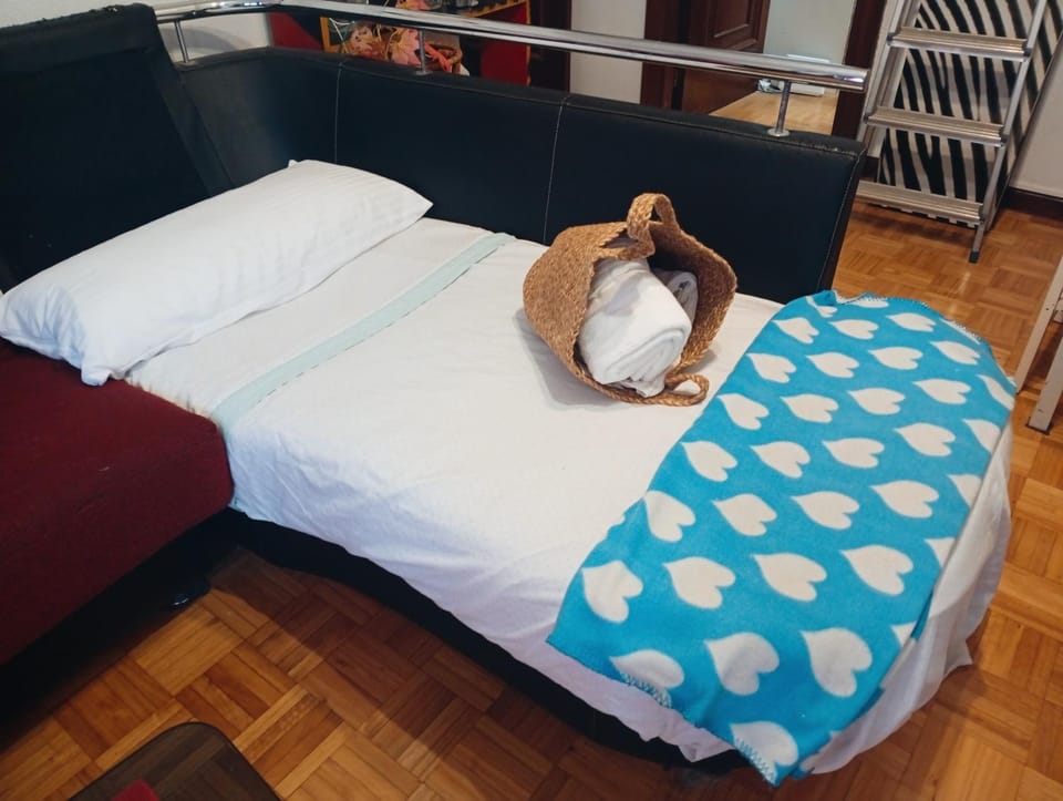 Gascona con Deli Vacation rental in Oviedo