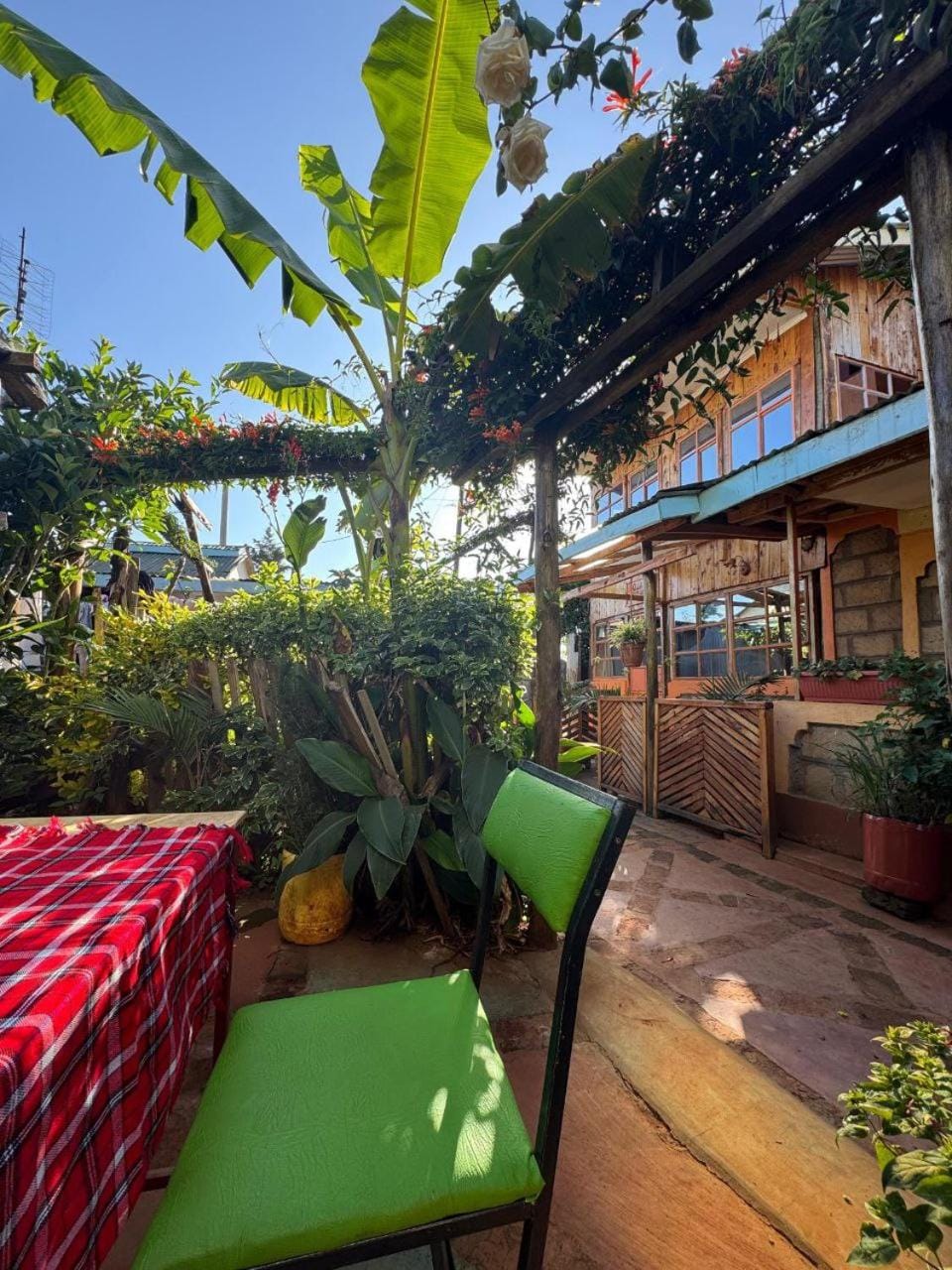 Patio, Garden, Seating area