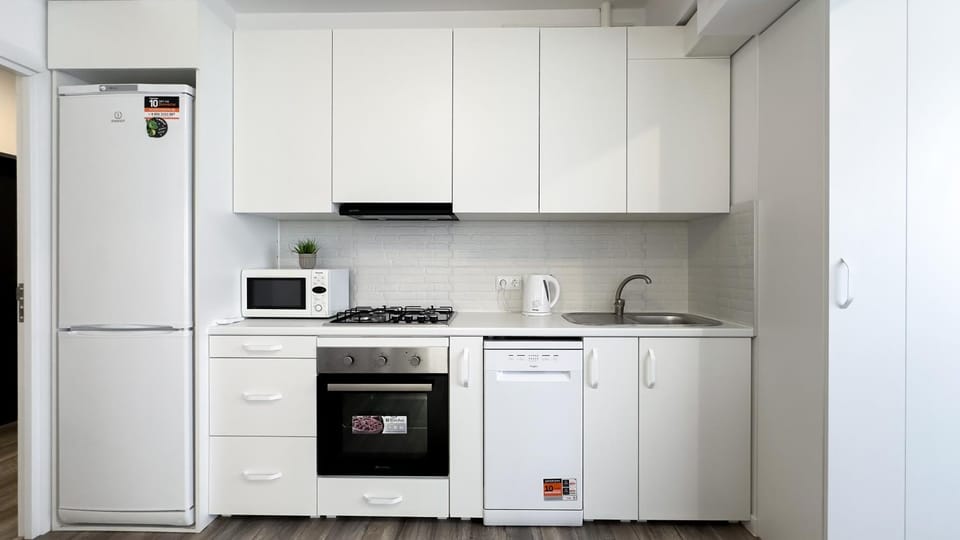 dishwasher, oven, stove