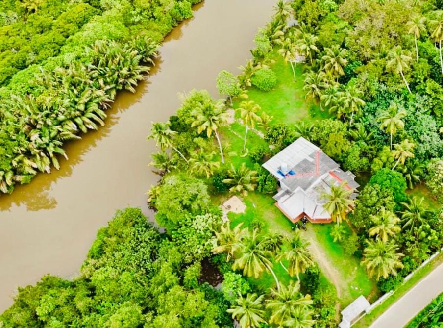 Day, Garden, Garden view, River view
