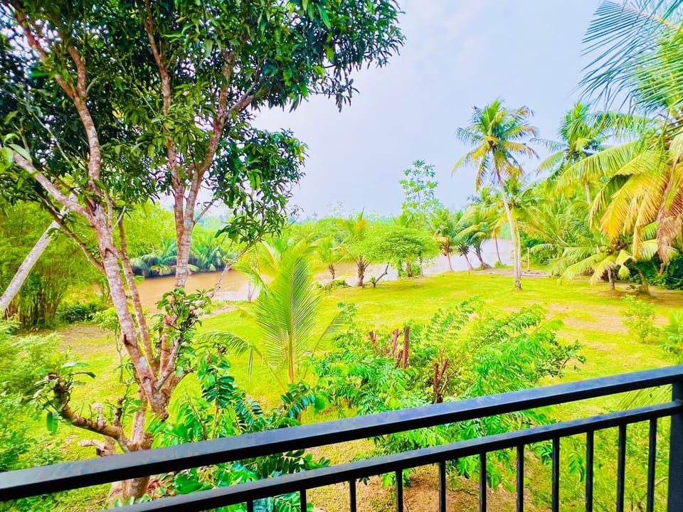 Natural landscape, Garden, Garden view