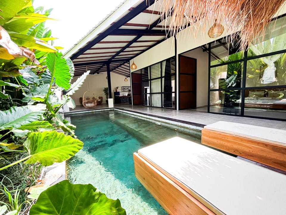 Garden, Garden view, Pool view, Swimming pool, sunbed