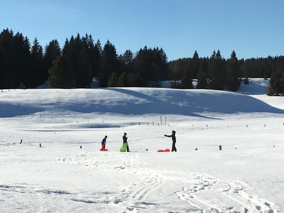 Winter, Ski School, Skiing