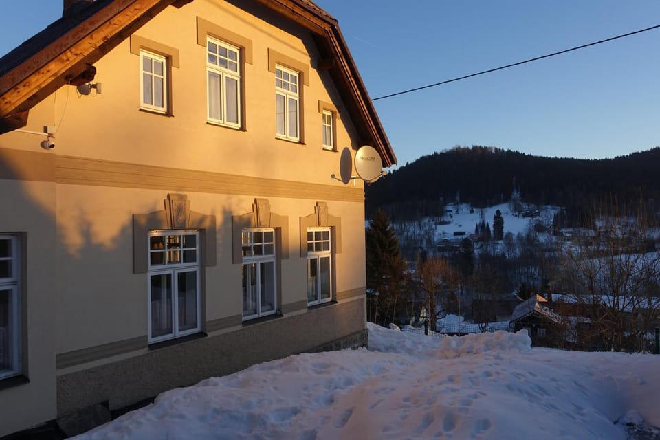 Winter, Garden view, Sunrise