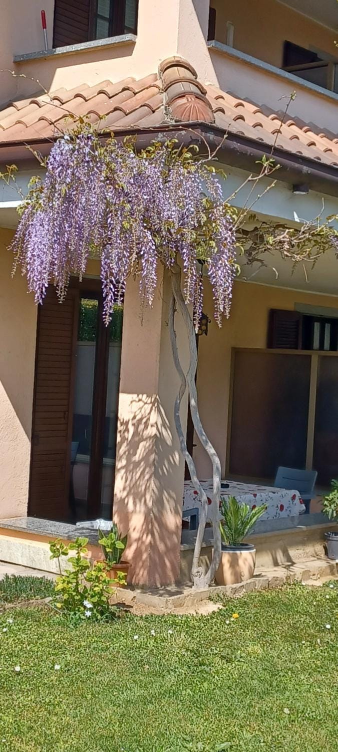 Property building, Balcony/Terrace