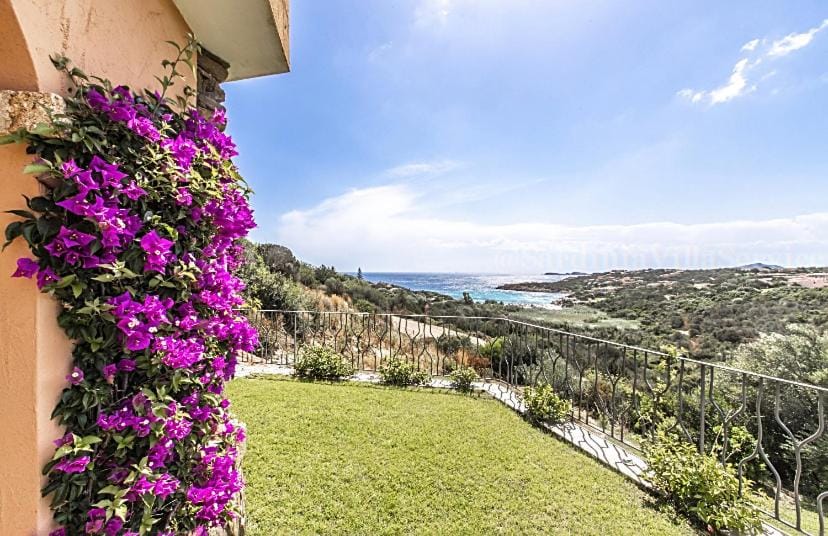 Garden view, Sea view