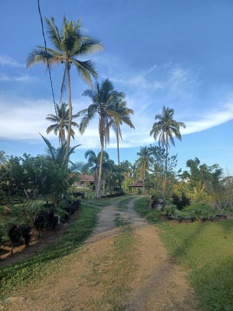 Natural landscape