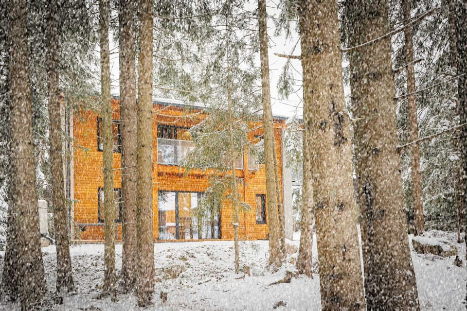 Property building, Day, Winter