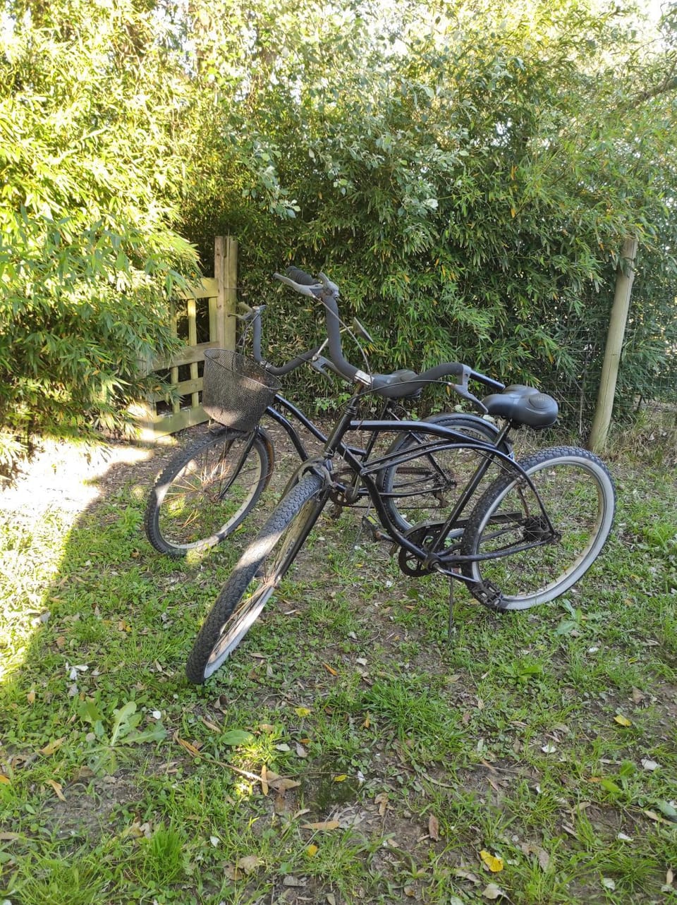 Cycling, Cycling