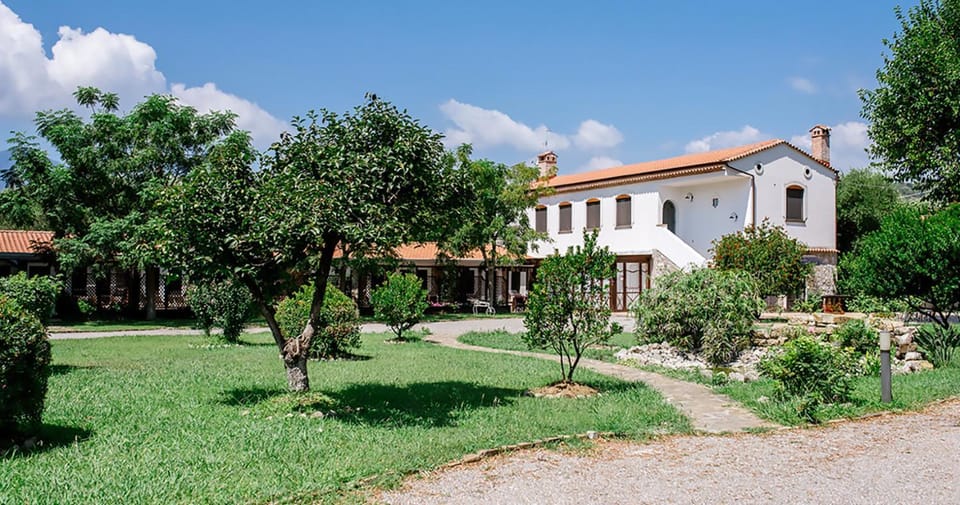 Property building, Garden, Garden view