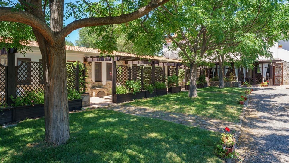 Property building, Garden, Garden, Garden view