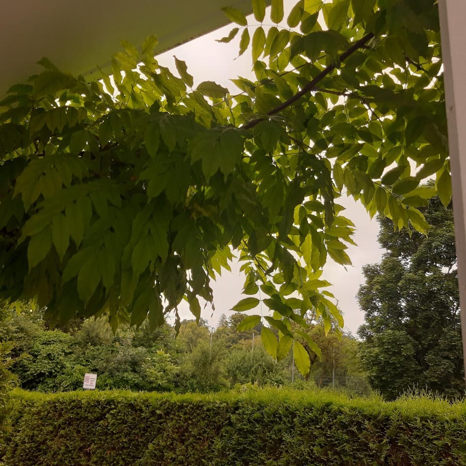 Garden, Garden, Balcony/Terrace