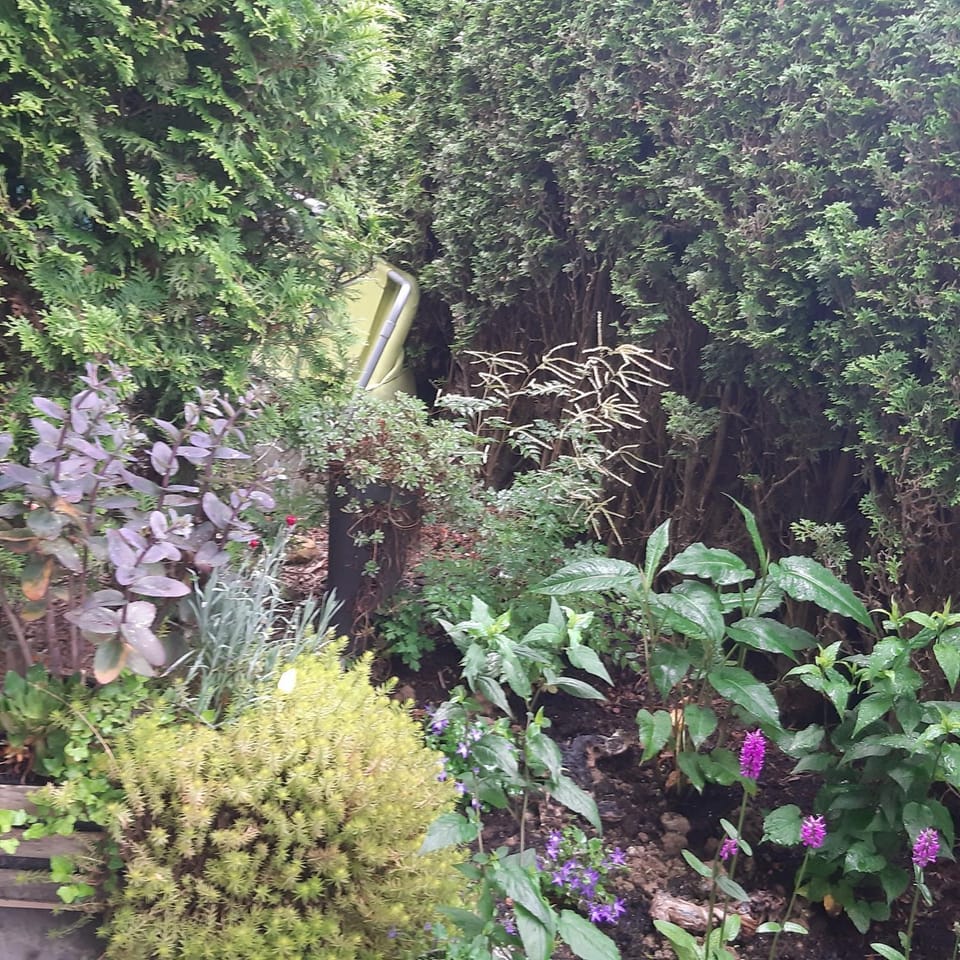 Garden, Balcony/Terrace