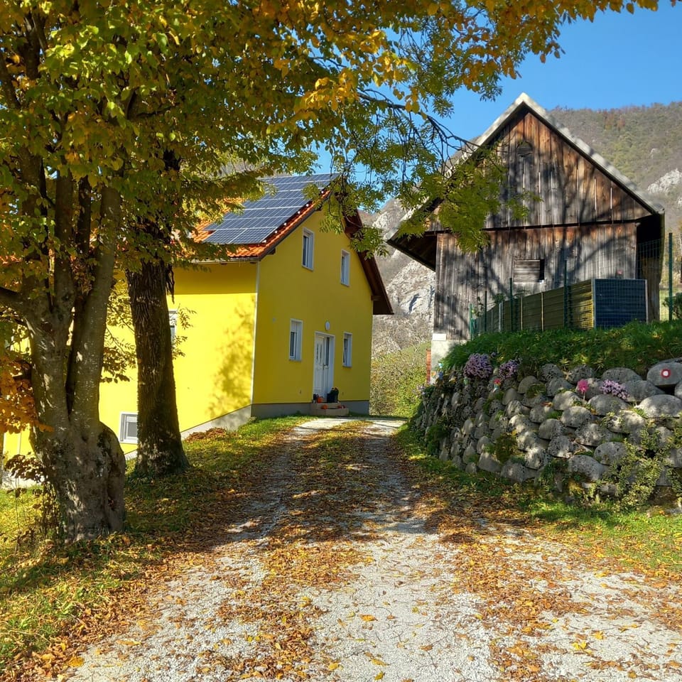 Autumn