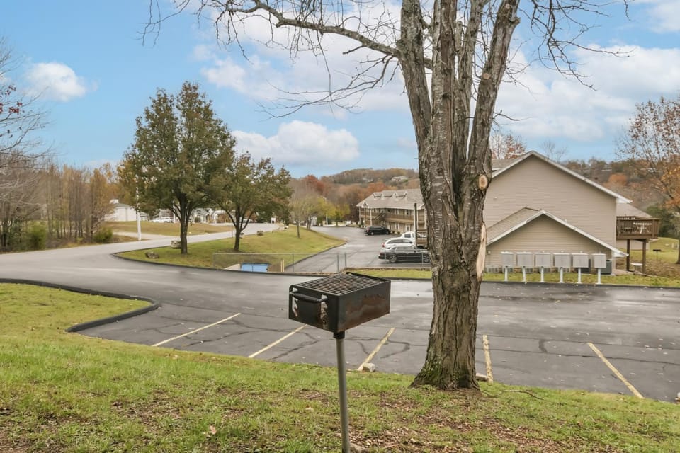 Property building, Spring, Day, Neighbourhood, Natural landscape, Street view, Location, Parking
