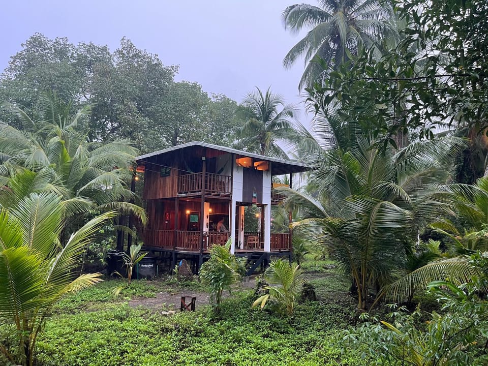 Property building, Garden, Garden view