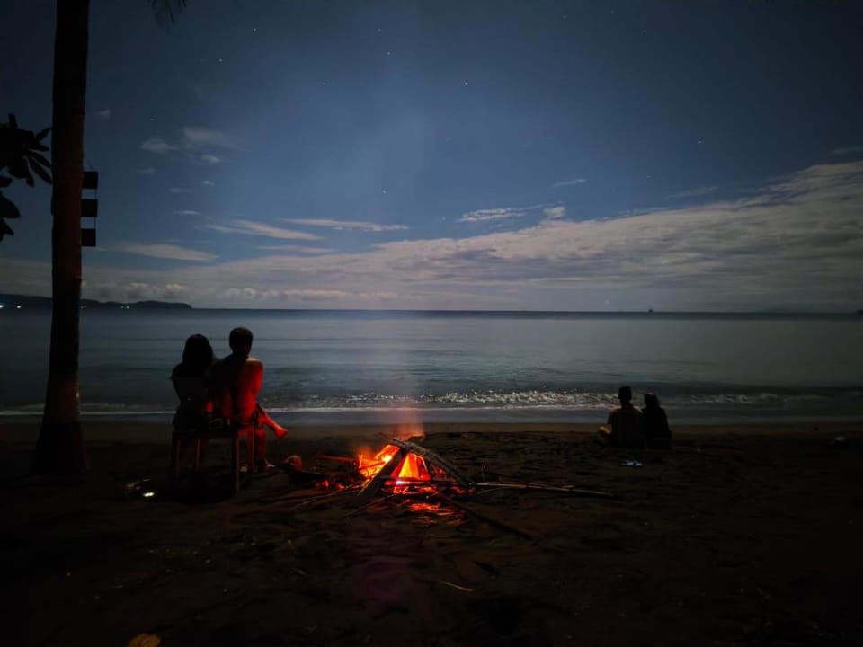 Night, People, Natural landscape, Beach, Sea view, group of guests