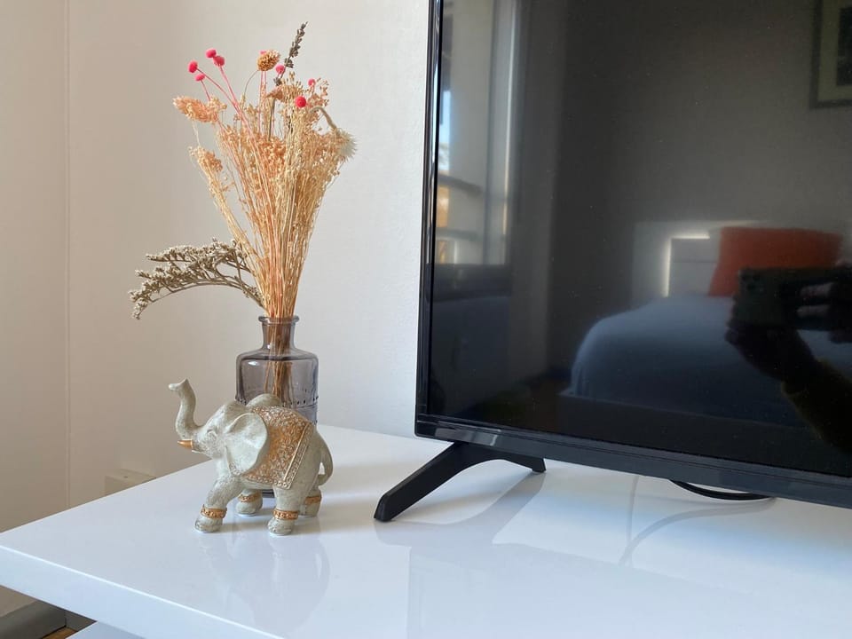 Hollywood studio en Résidence boisée Ecully Apartment in Lyon