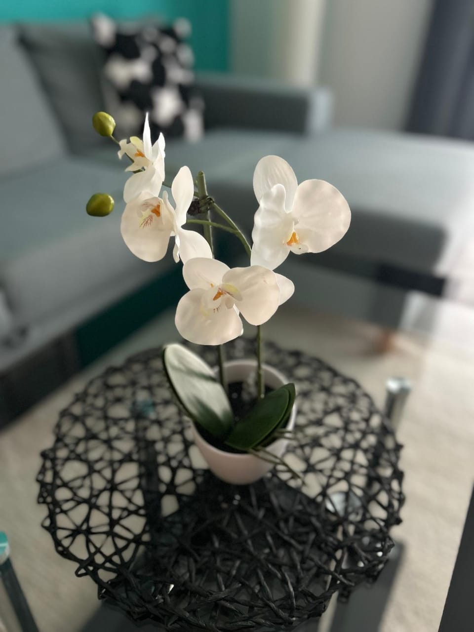 Living room, Decorative detail, Seating area