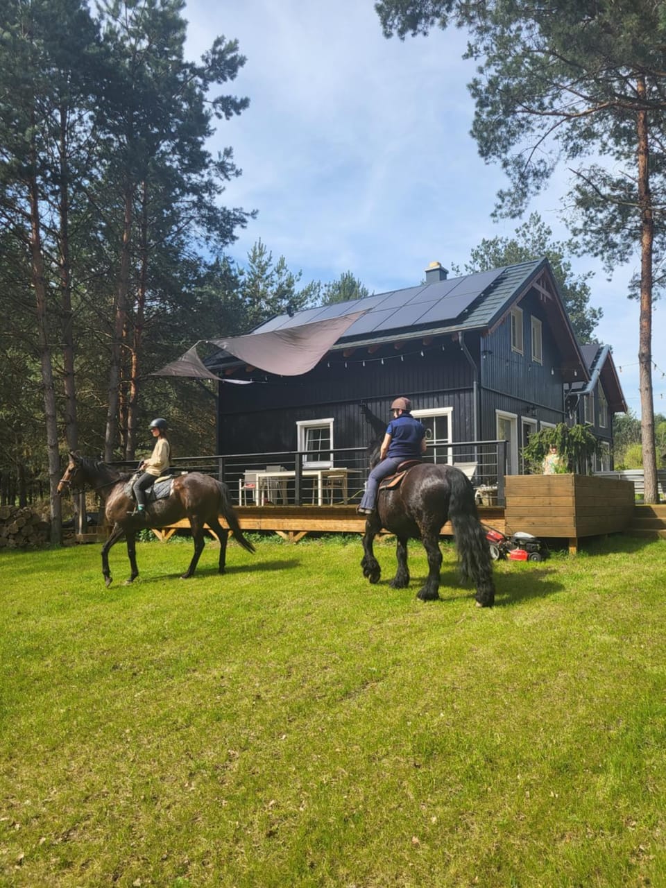 Day, People, Natural landscape, Garden, Horse-riding, Animals, Garden view