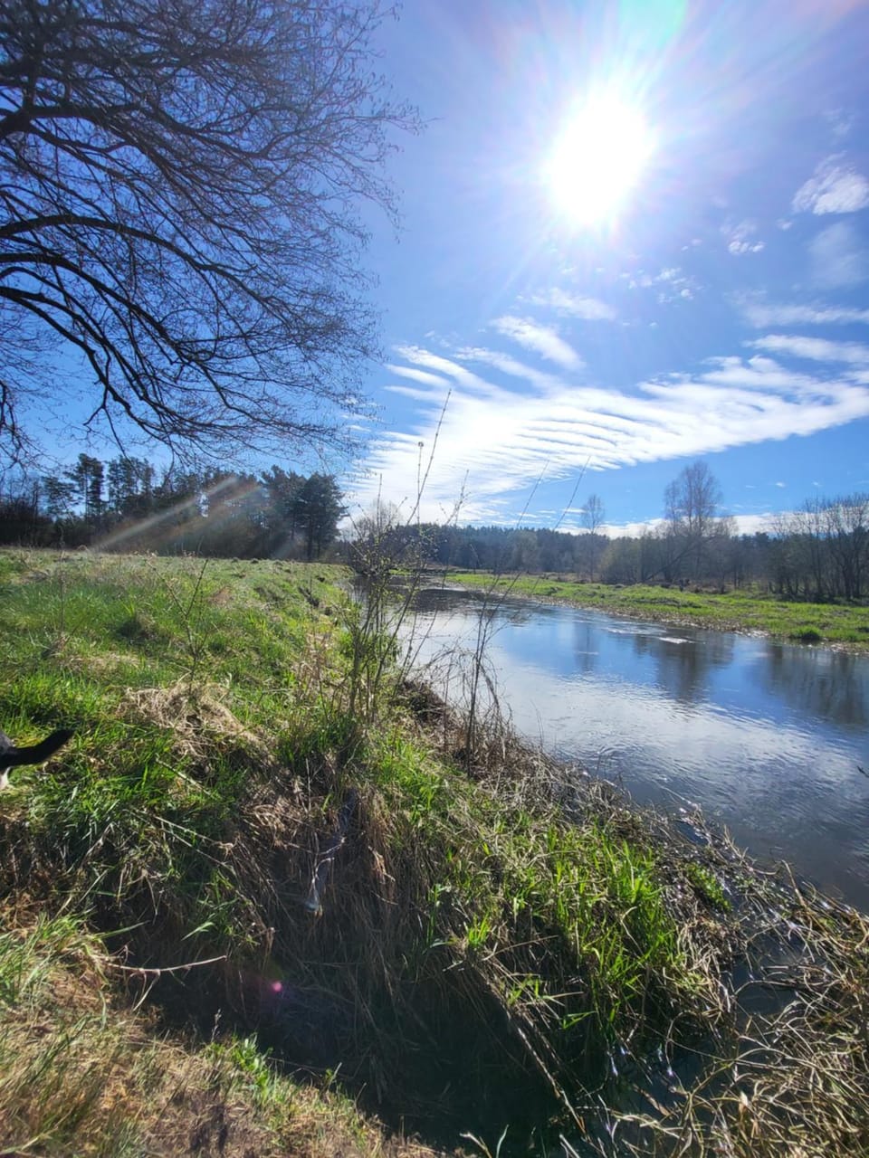 Spring, Day, Natural landscape, River view
