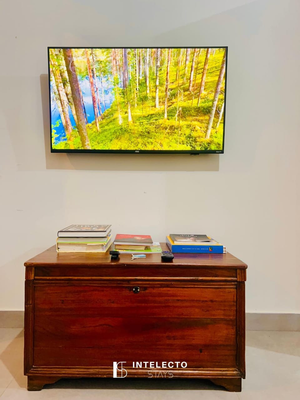 TV and multimedia, Living room