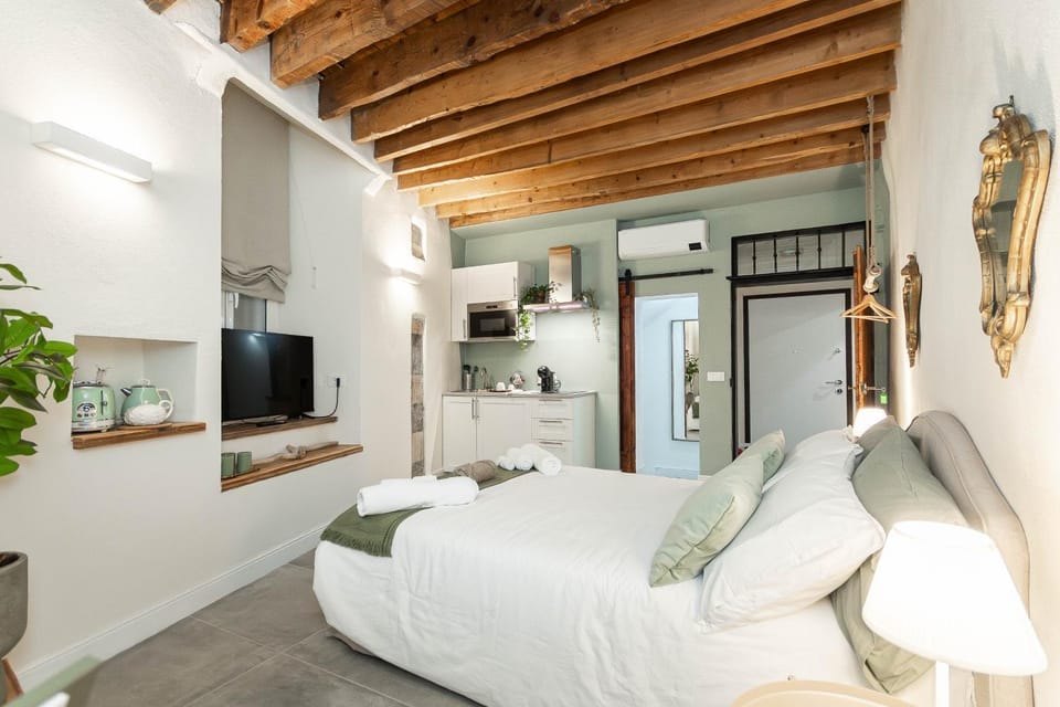 Bed, TV and multimedia, Kitchen or kitchenette, Photo of the whole room, Seating area, Evening entertainment, Bedroom, oven, air conditioner