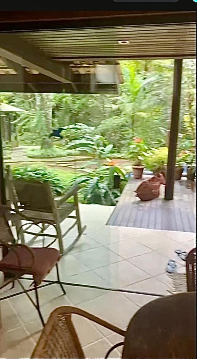 Garden view