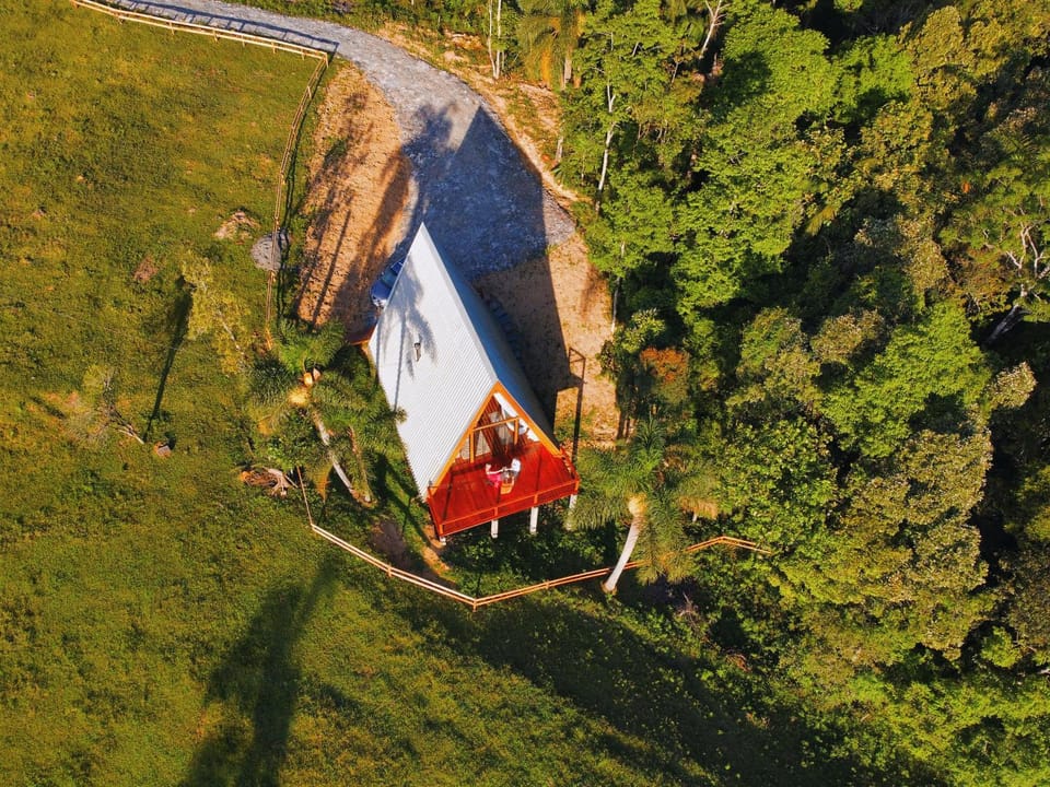 Spring, Day, Neighbourhood, Natural landscape, Bird's eye view