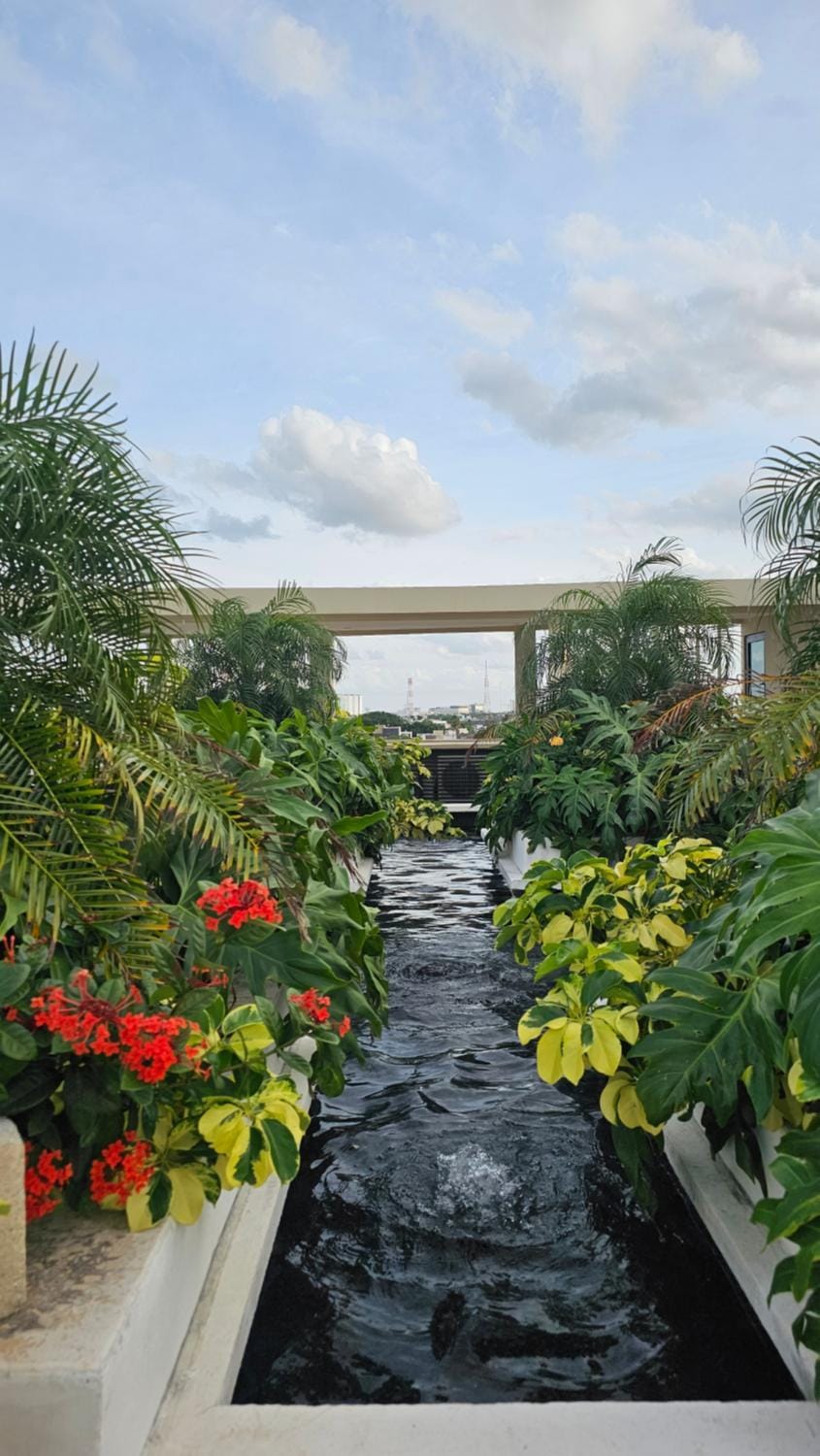 Garden, Balcony/Terrace