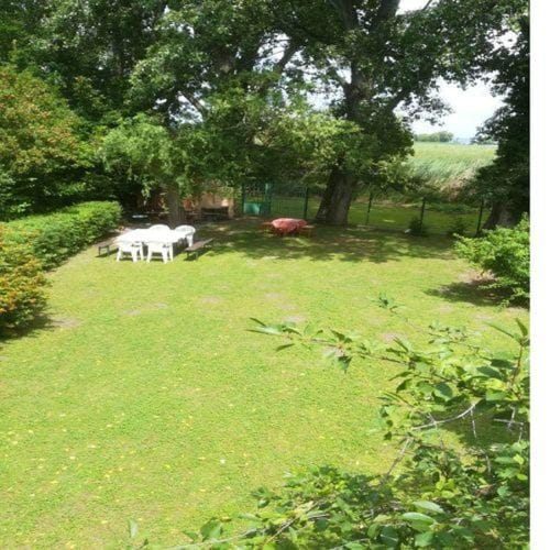 Garden, Balcony/Terrace, Garden view