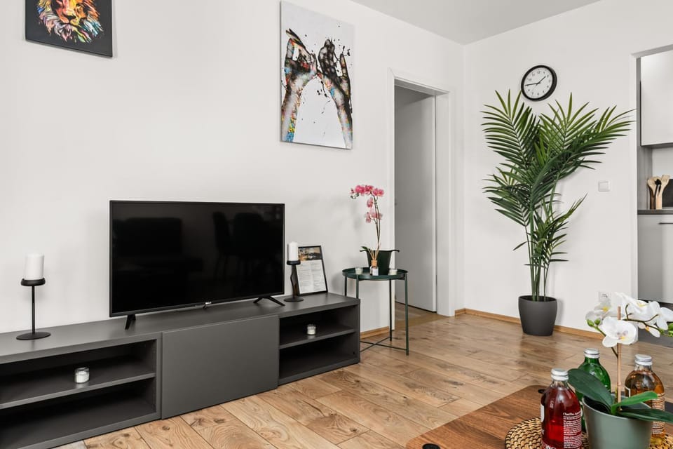 TV and multimedia, Living room, Photo of the whole room