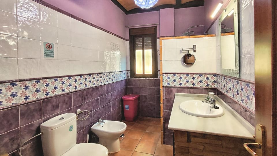 Toilet, Bathroom, bidet