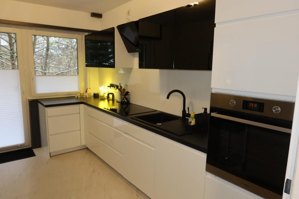 Kitchen or kitchenette, dishwasher, stove