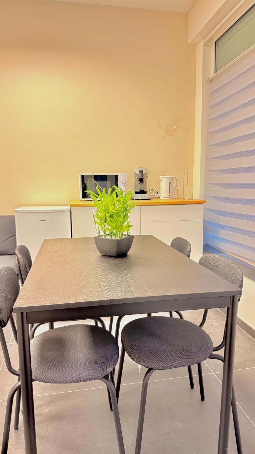 Orléan 41 A centre-gare-aéroport Apartment in Charleroi