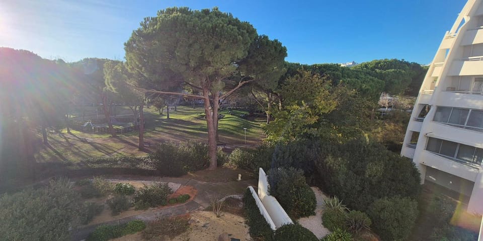Property building, Natural landscape, Garden, View (from property/room), Garden view