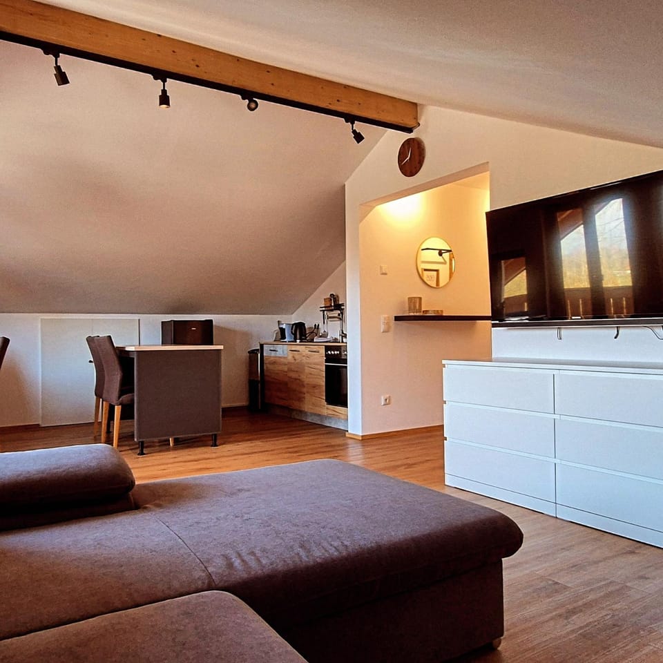 TV and multimedia, Kitchen or kitchenette, Living room, Evening entertainment