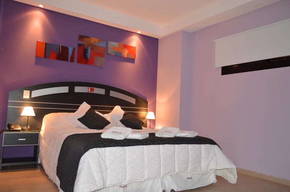 Mercer Hostal Bed and Breakfast in San Miguel de Tucumán